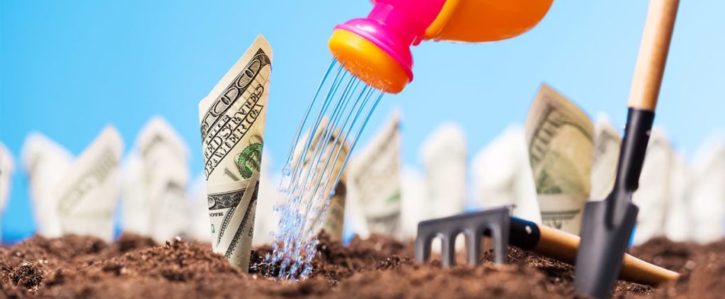 Money Doesn't Grow on Trees