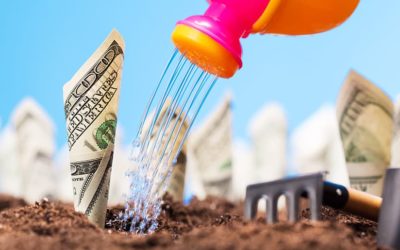 Money Doesn’t Grow on Trees